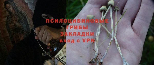apvp Алексин