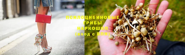 молекула духа Алексеевка