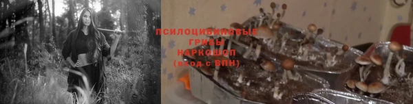 apvp Алексин
