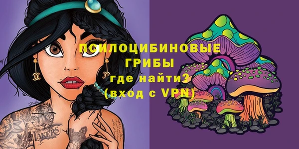 молекула духа Алексеевка