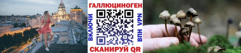 Псилоцибиновые грибы мицелий  купить  цена  Апшеронск 